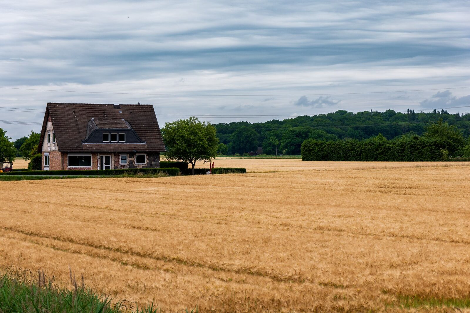 A scenic view of a rural house surrounded by a vast golden wheat field under a cloudy sky, perfect for countryside lovers.
